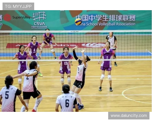 上海排球队比赛经验探讨与分析聚焦排球竞技的成长与挑战