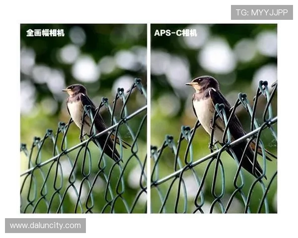 上海乒乓球队包夹战术解析及其在比赛中的应用与影响