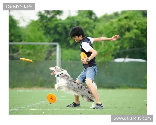 深圳飞盘队技术解析与战术创新的深度探讨与展望