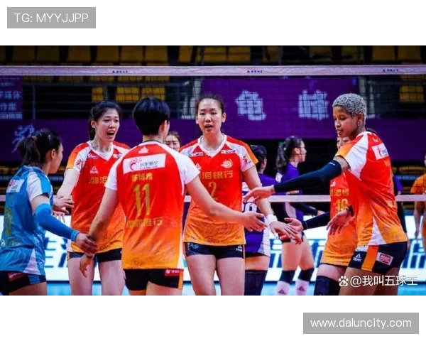 西安排球队灵活性引发热议球迷观点各异分析背后原因