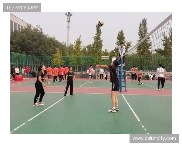 杭州排球队逆袭之路大师赛特别报道展现团队精神与拼搏历程